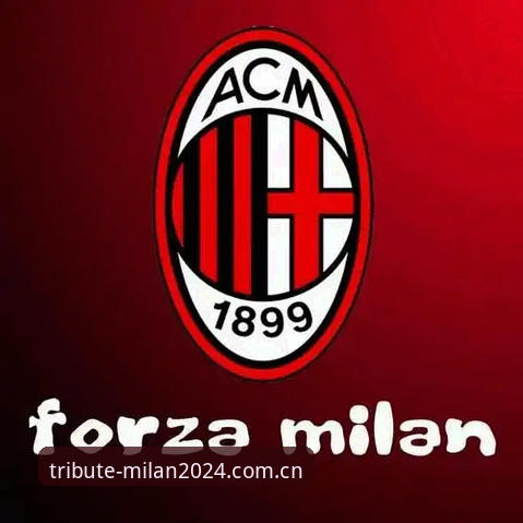 米兰MILAN中国2024 米兰MILAN中国2024致敬版使用说明